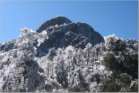 Mt. Wrightson - snow pic